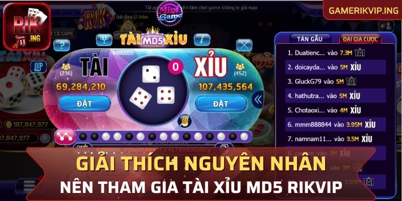 Giải thích nguyên nhân nên tham gia Tài Xỉu MD5 Rikvip